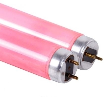 Collagen Beauty Lampen R 100 Watt
